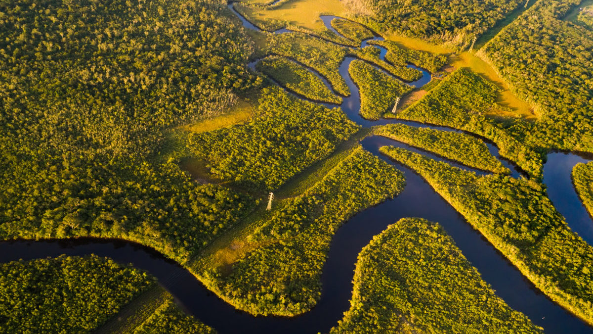 Deforestazione, i negoziati USA-Brasile sull’Amazzonia rallentano
