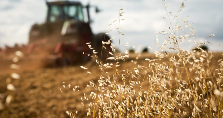Rinnovabili • futuro dell'agricoltura
