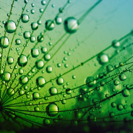 Rinnovabili • Open-es, la piattaforma digitale per la transizione energetica