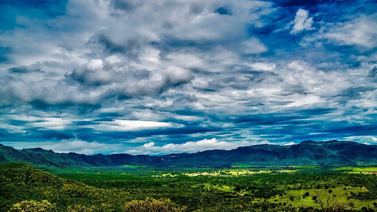 Deforestazione dell’Amazzonia: gli USA fanno un favore a Bolsonaro