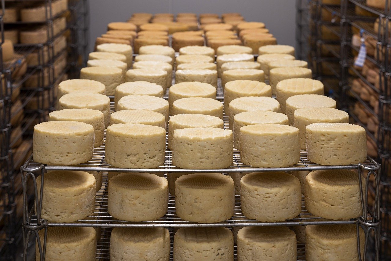 Rinnovabili • Cheese