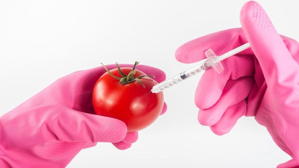 Nuovi OGM: l’UE vuole dare l’ok alle New Breeding Techniques