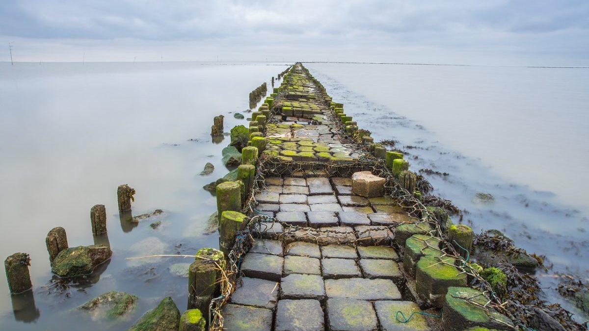 Capitale naturale: i fondali UK valgono di più come carbon sink