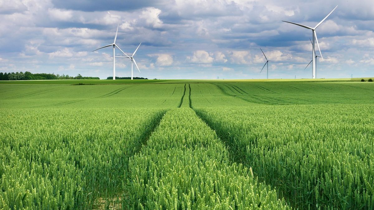 Transizione energetica: l’impatto della nuova legge sul clima UE