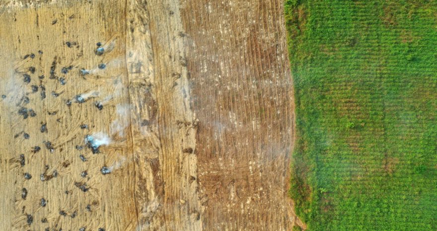 Rinnovabili • Accordo UE-Mercosur: la Spagna preme per l’approvazione