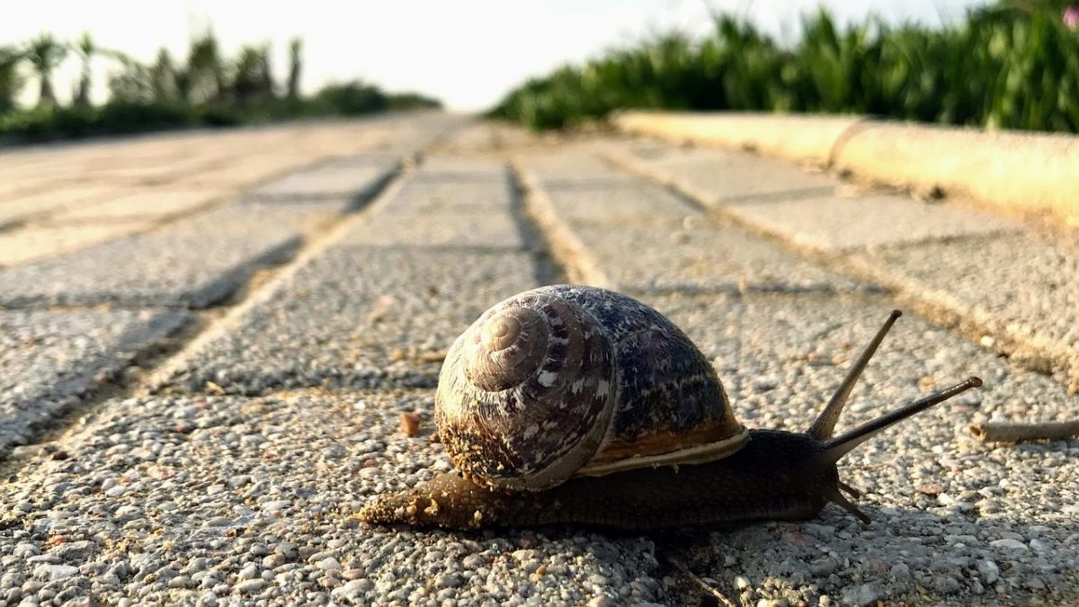 Decrescita: lo scenario migliore per centrare gli obiettivi sul clima