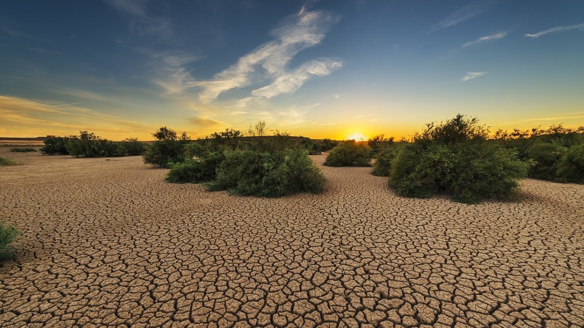 Crisi climatica: quanto costa il business as usual da qui al 2050