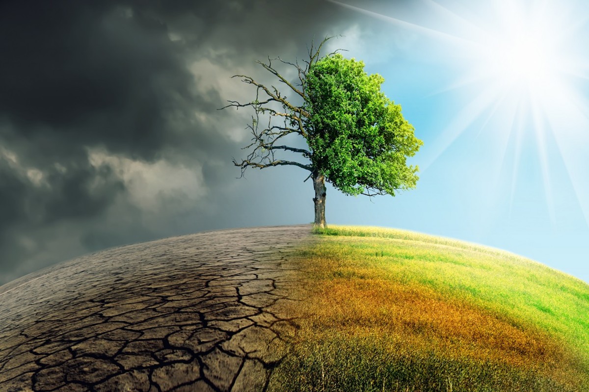 transizione ecologica