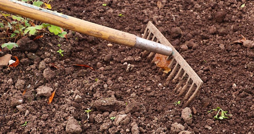 Rinnovabili • agricoltura eroica
