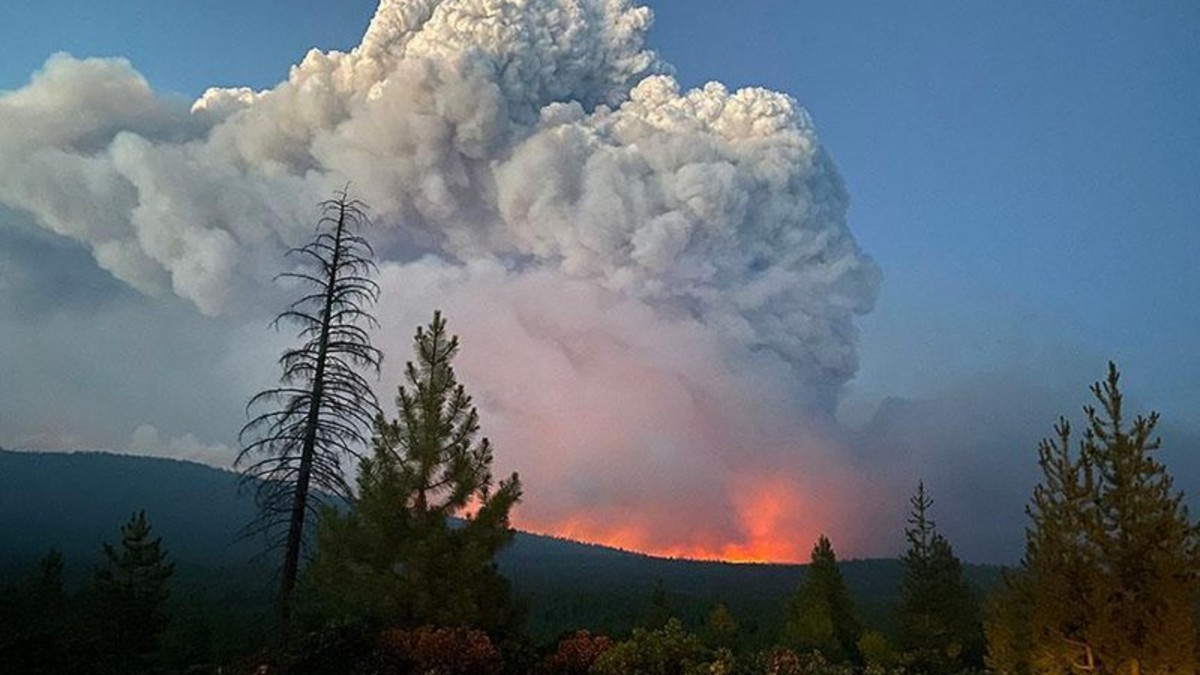 Stagione degli incendi: Stati Uniti e Siberia messi in ginocchio dalle fiamme