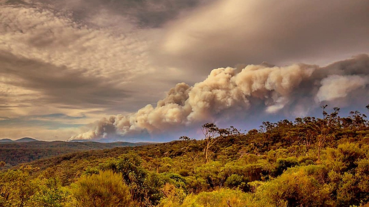 Effetti della pandemia sul clima: pesano di più gli incendi in Australia