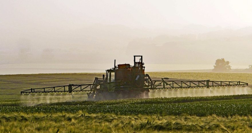 Rinnovabili • Impatto del glifosato: i big dell’agrochimica hanno truccato gli studi