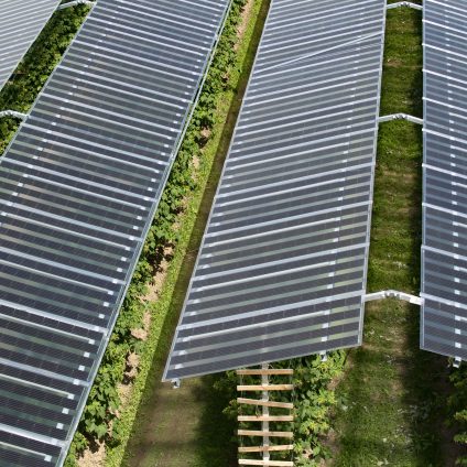 Rinnovabili • impianto agri fotovoltaico