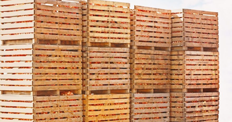 Rinnovabili • Mercati all'ingrosso, perni della sicurezza alimentare