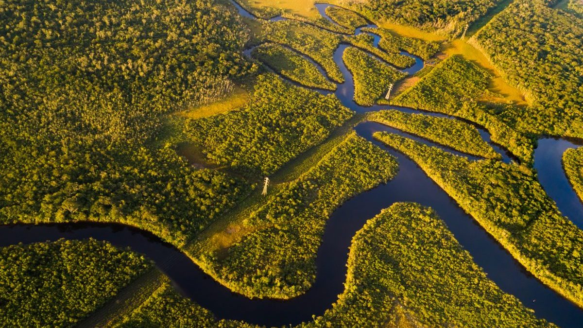 Foresta amazzonica: ufficiale, ormai è un emettitore netto di CO2