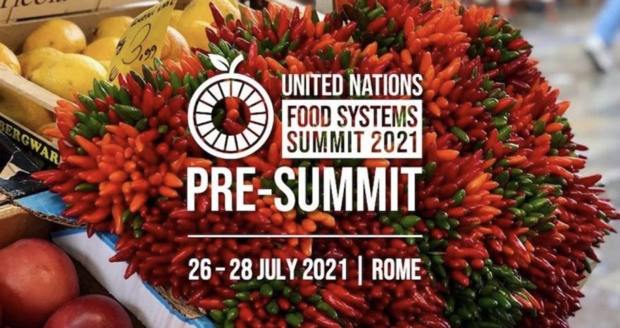 Rinnovabili • Zero Hunger