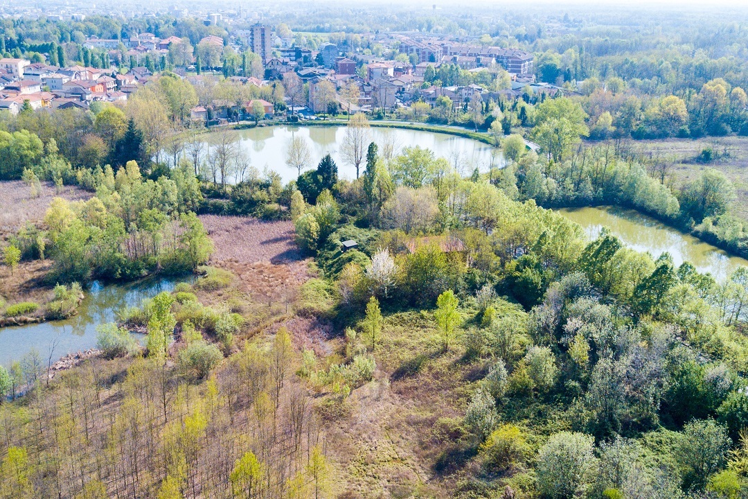 Rinnovabili • 