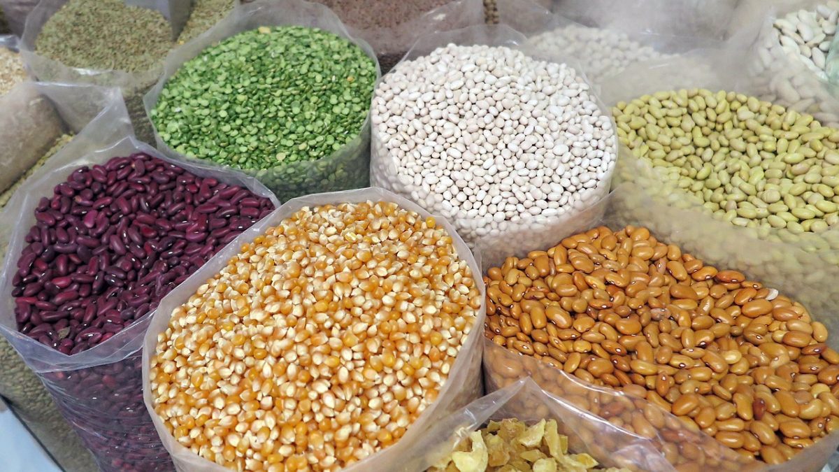 Food System Summit: a Roma il pre-vertice sulla crisi alimentare mondiale