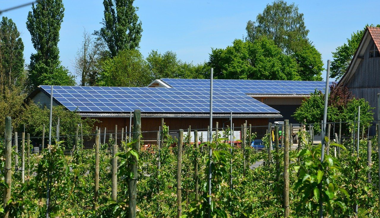 Rinnovabili • Fotovoltaico in agricoltura