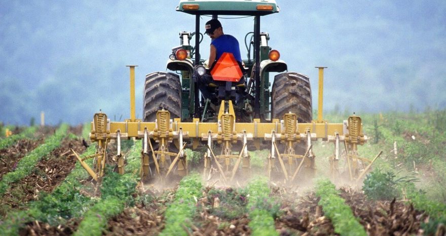 Rinnovabili • agricoltori