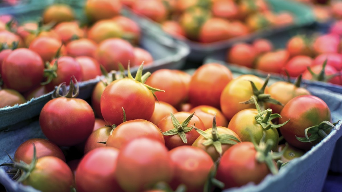 Agroalimentare italiano, nel 2021 bilancio positivo per Confagricoltura