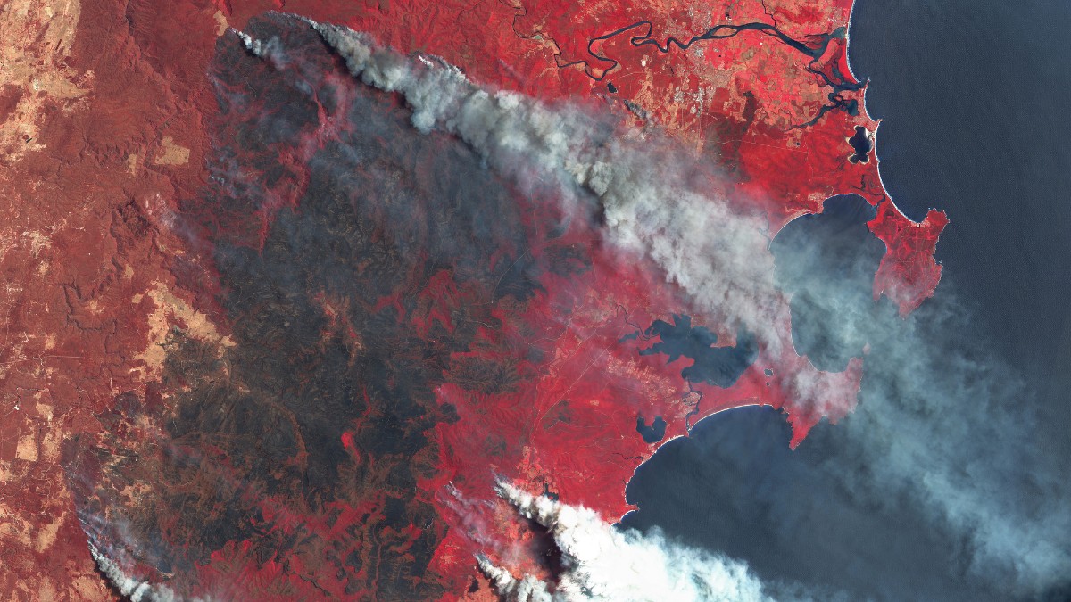 Fumo degli incendi: mortalità più alta del previsto secondo un nuovo studio