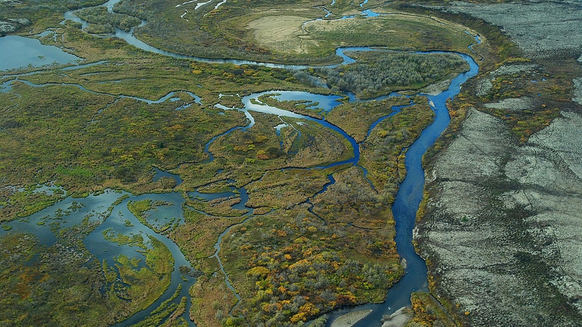 Artico: stop al progetto Pebble Mine (e alle trivelle)