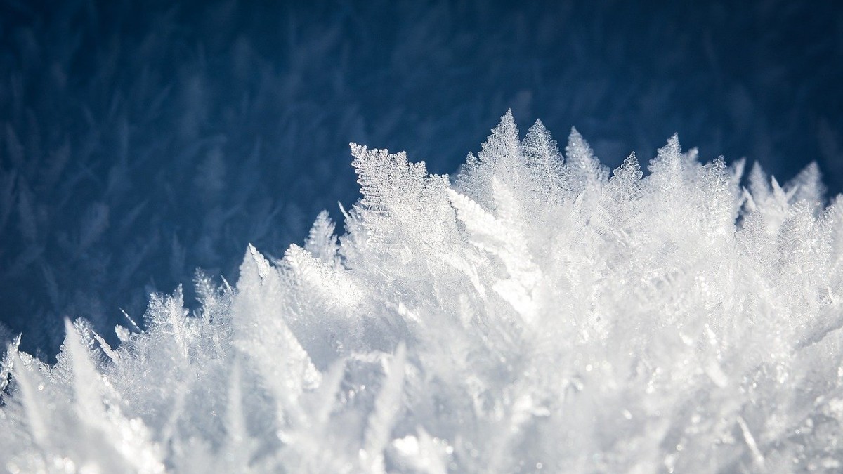 Eventi climatici estremi: l’Artico bollente ci regala inverni glaciali