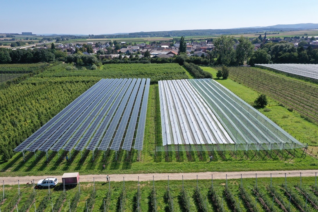 agrivoltaico