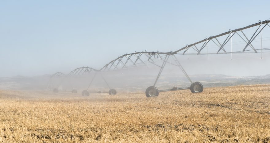Rinnovabili • acqua in agricoltura