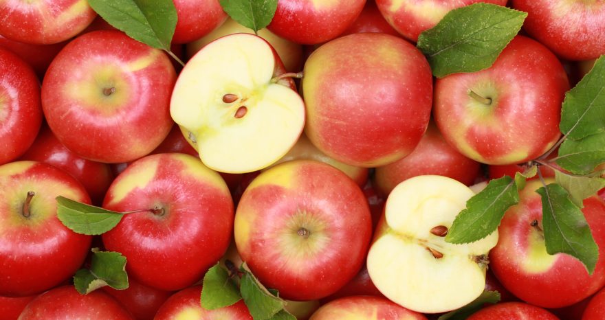 Rinnovabili • Giornata mondiale dell'alimentazione 2021