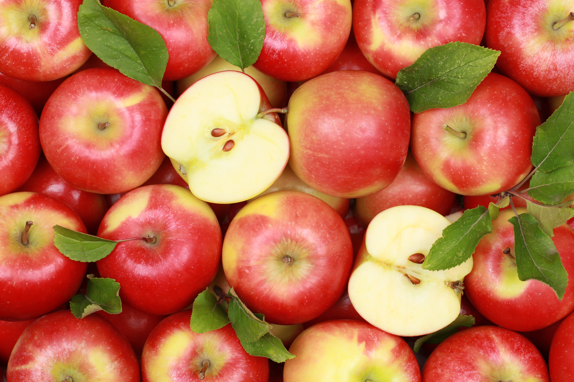 Giornata mondiale dell'alimentazione 2021