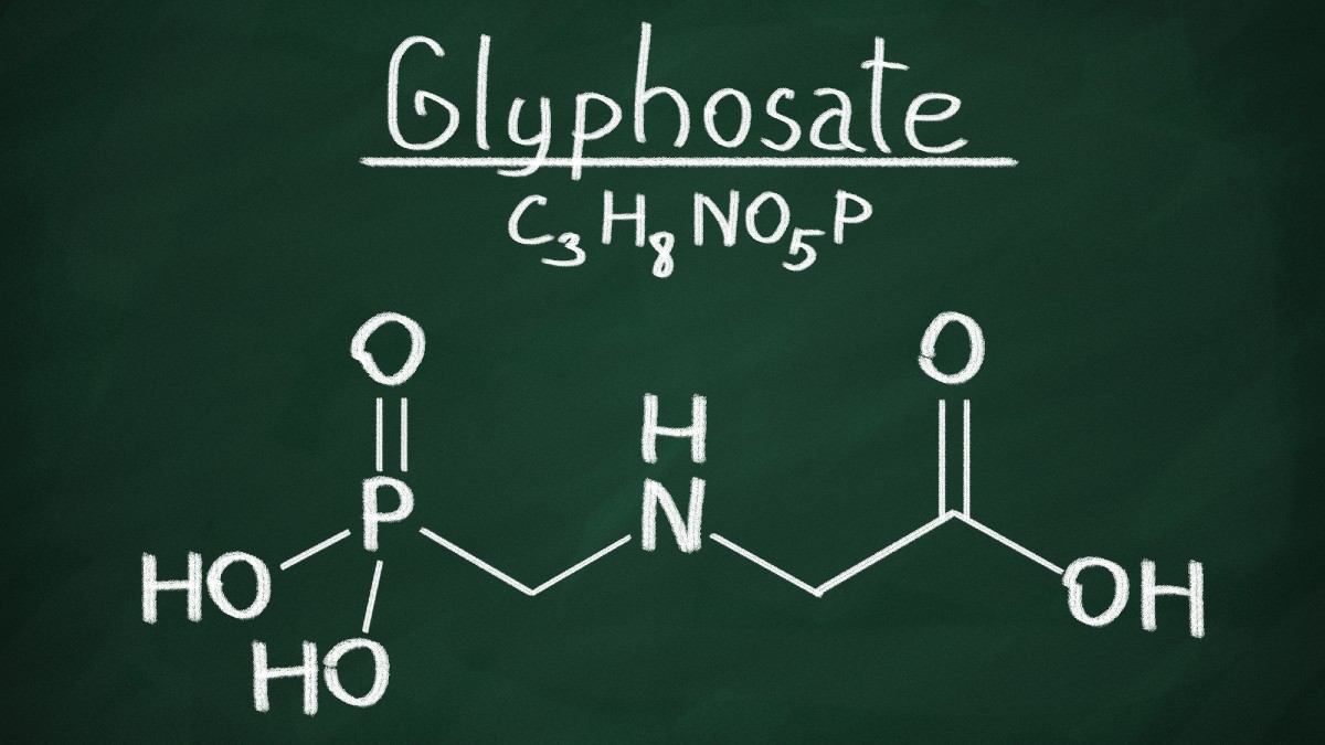 glifosato