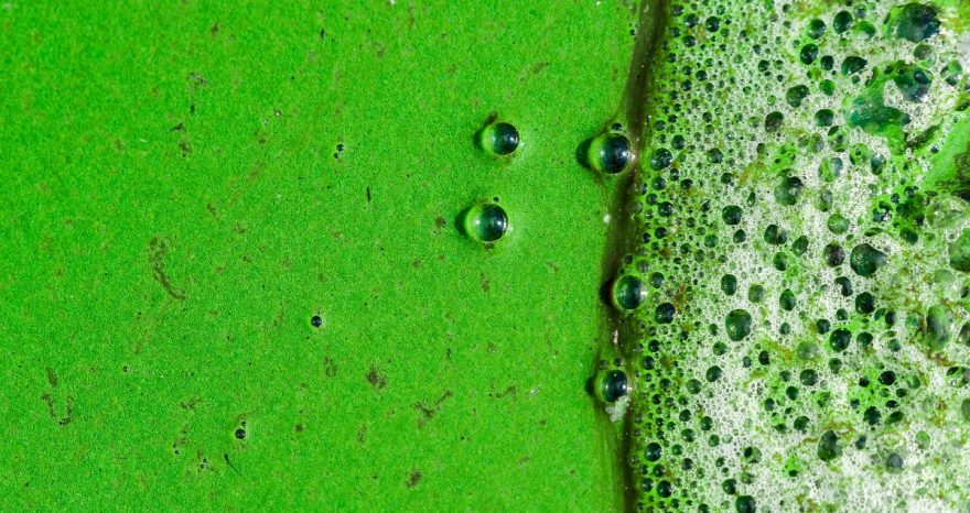 Rinnovabili • Inquinamento da nitrati: la qualità dell’acqua in UE