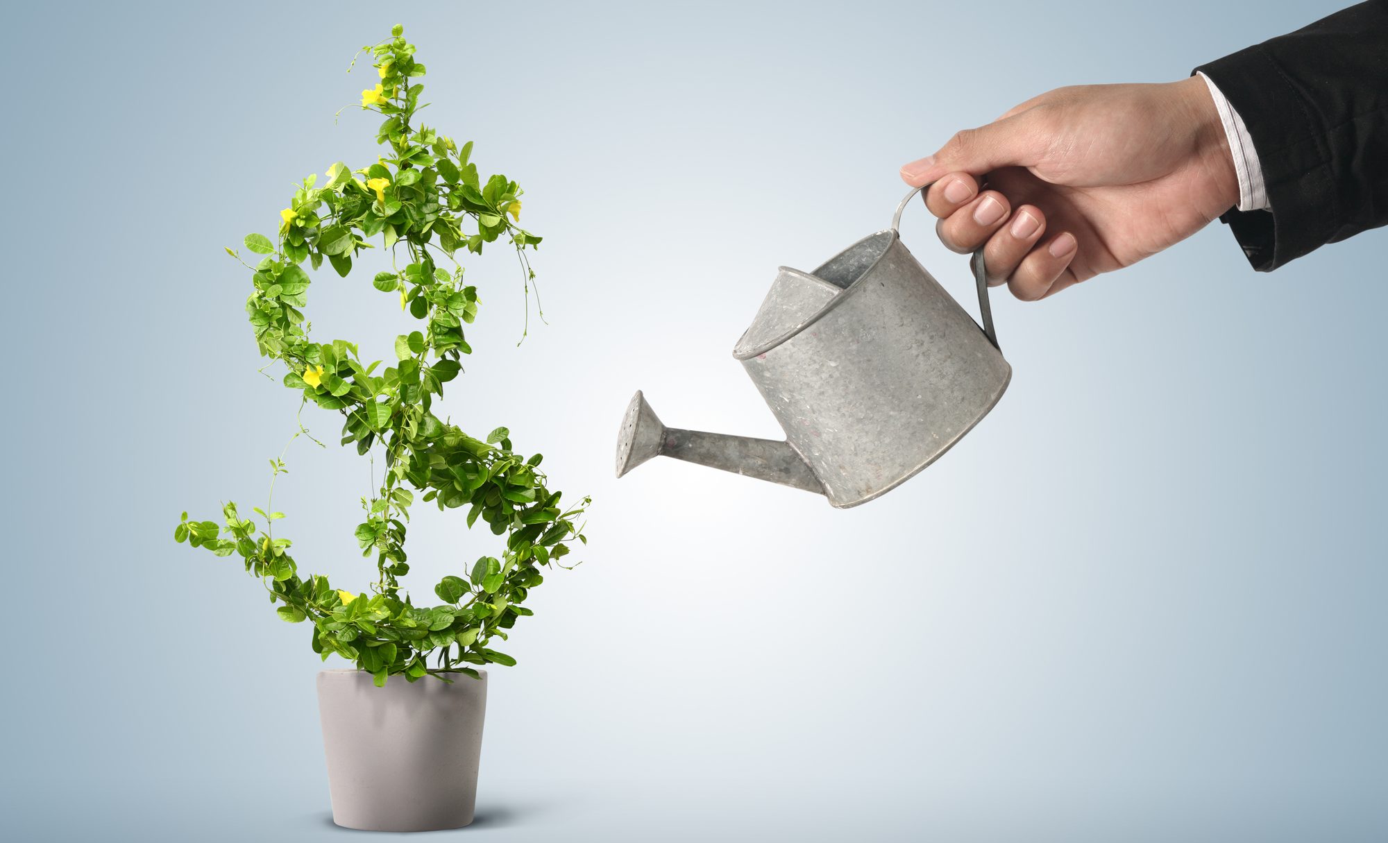 Investimenti rinnovabili Italia