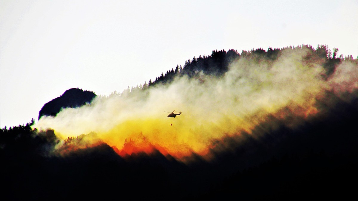 stagione degli incendi