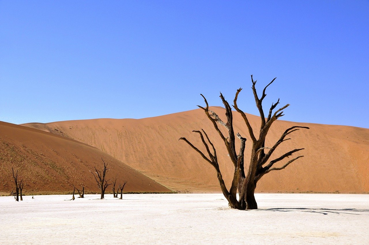 desert to power