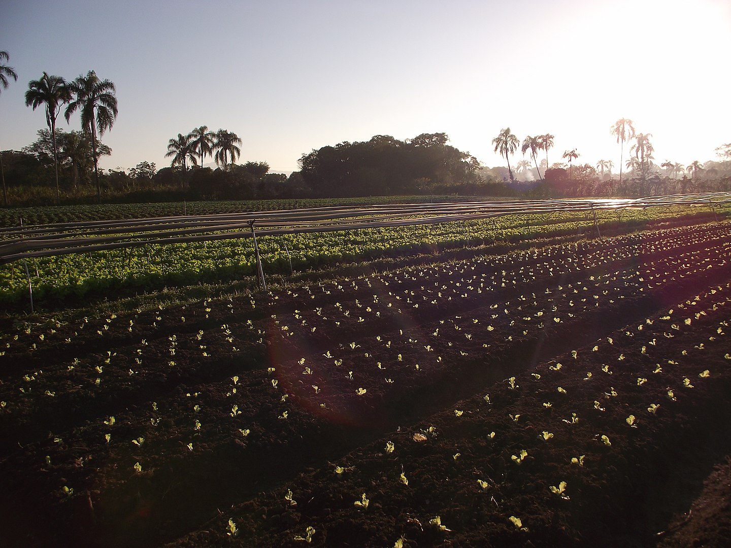 agroecologia