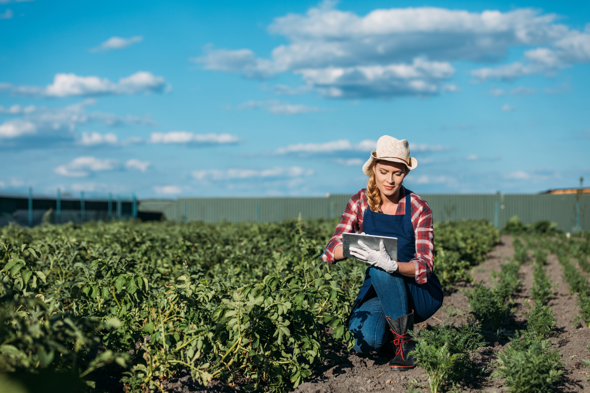 Giovani e agricoltura,