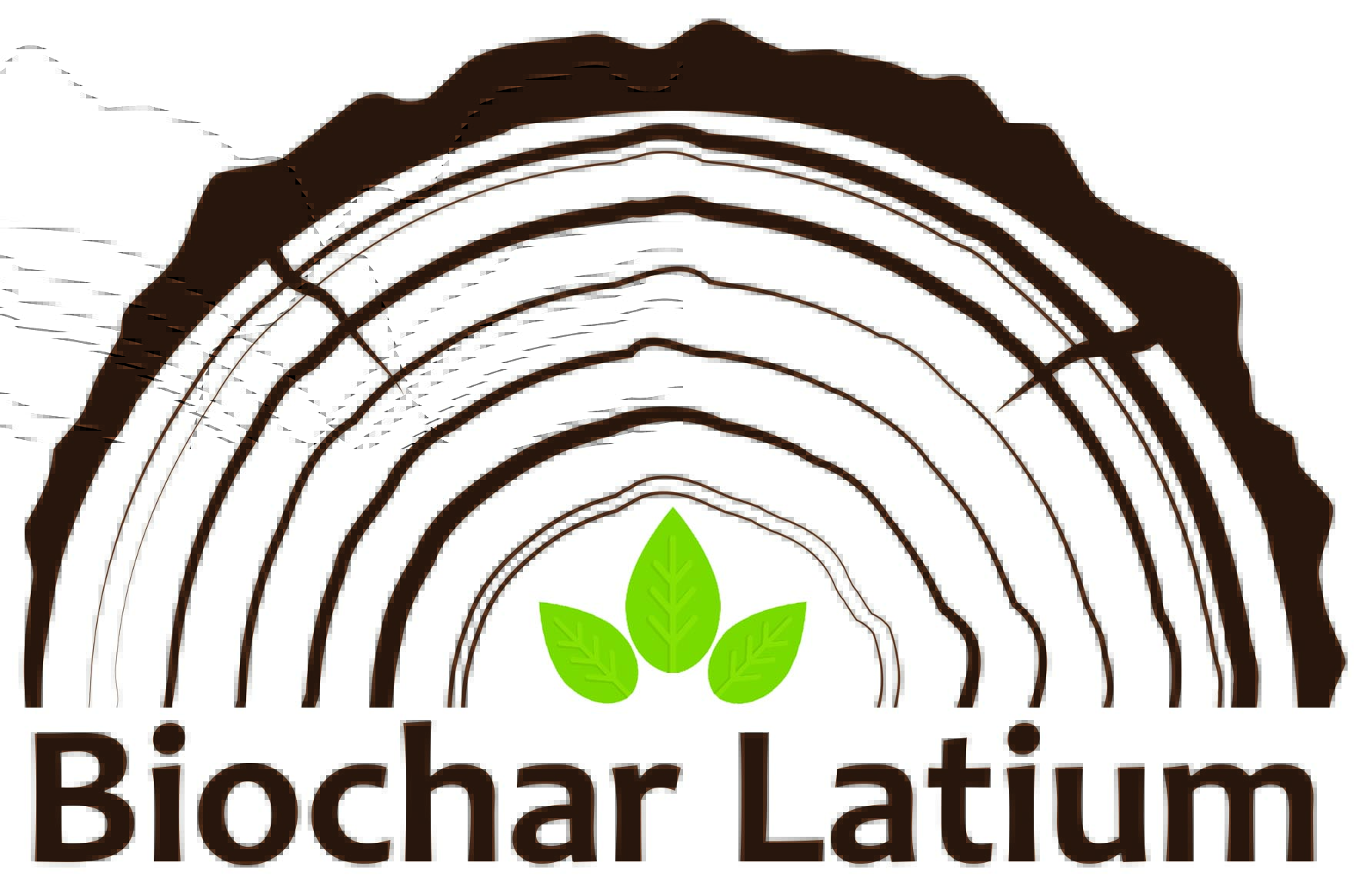 biochar latium