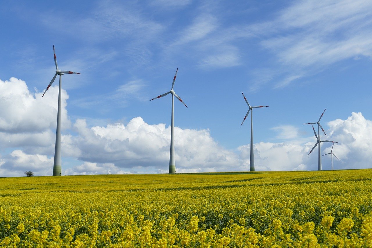 Costo livellato dell'energia