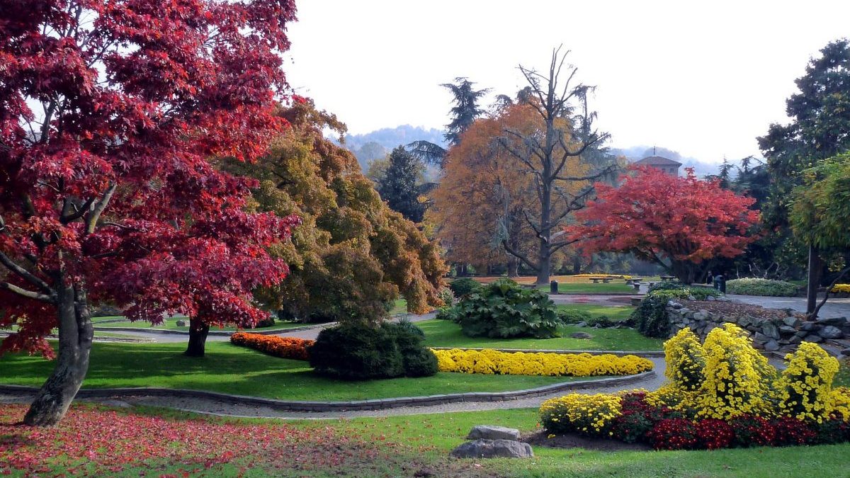 Verde urbano: in città gli alberi regalano anche -12°C