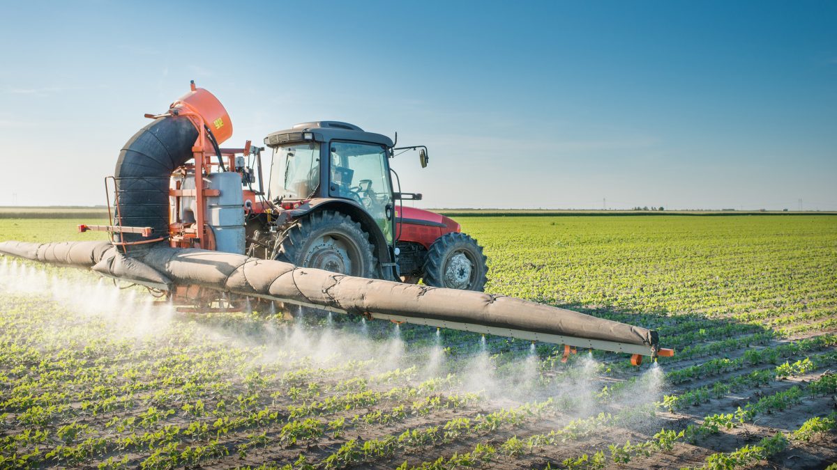 Dicamba: l’Epa valuta i rischi dell’erbicida erede del glifosato