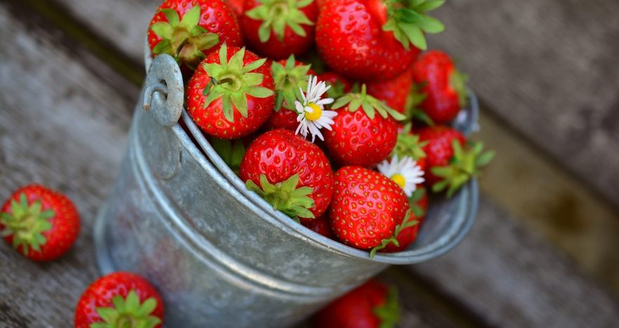 Rinnovabili • fragole