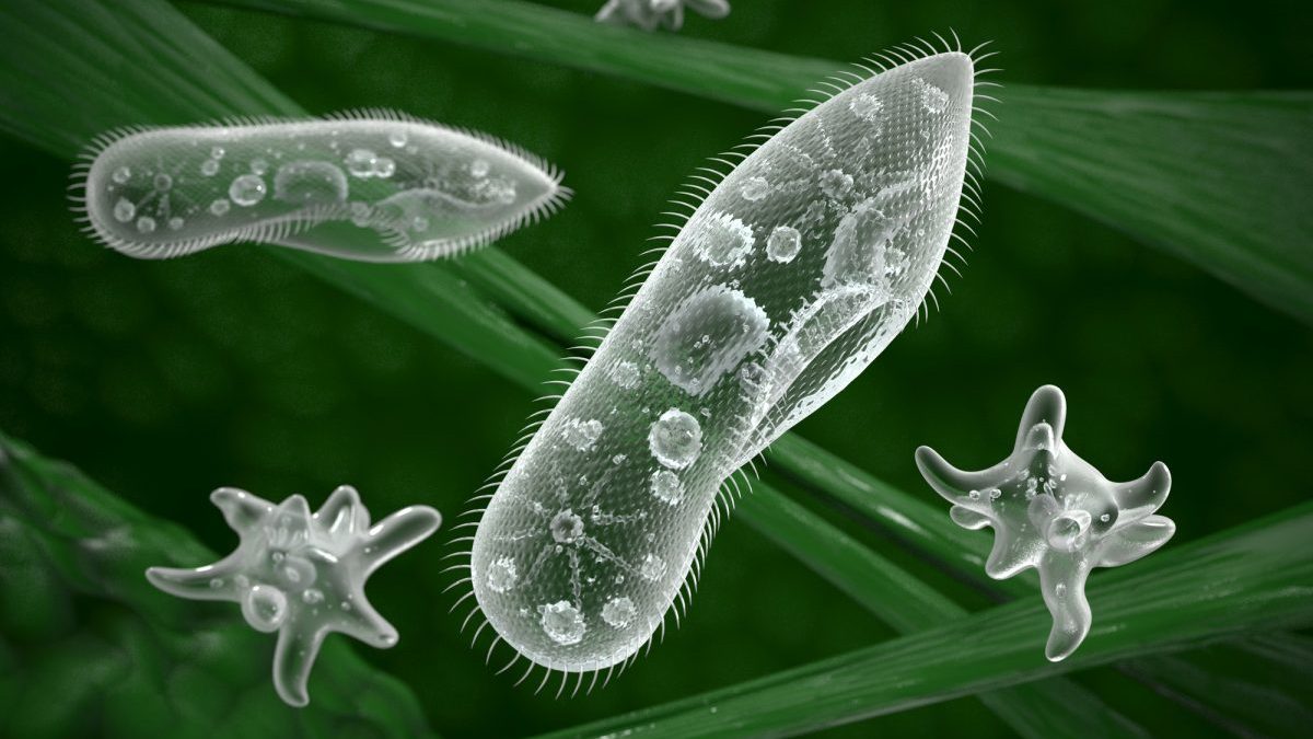 Geoingegneria degli oceani: il dossier USA propone 6 opzioni