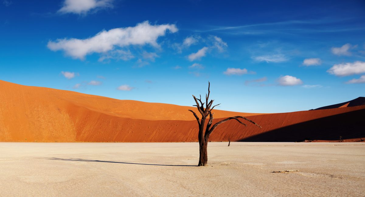 Idrogeno verde: in Namibia potrebbe già costare 1,5 €/kg