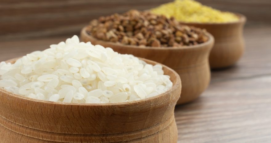 Rinnovabili • malnutrizione in Mozambico