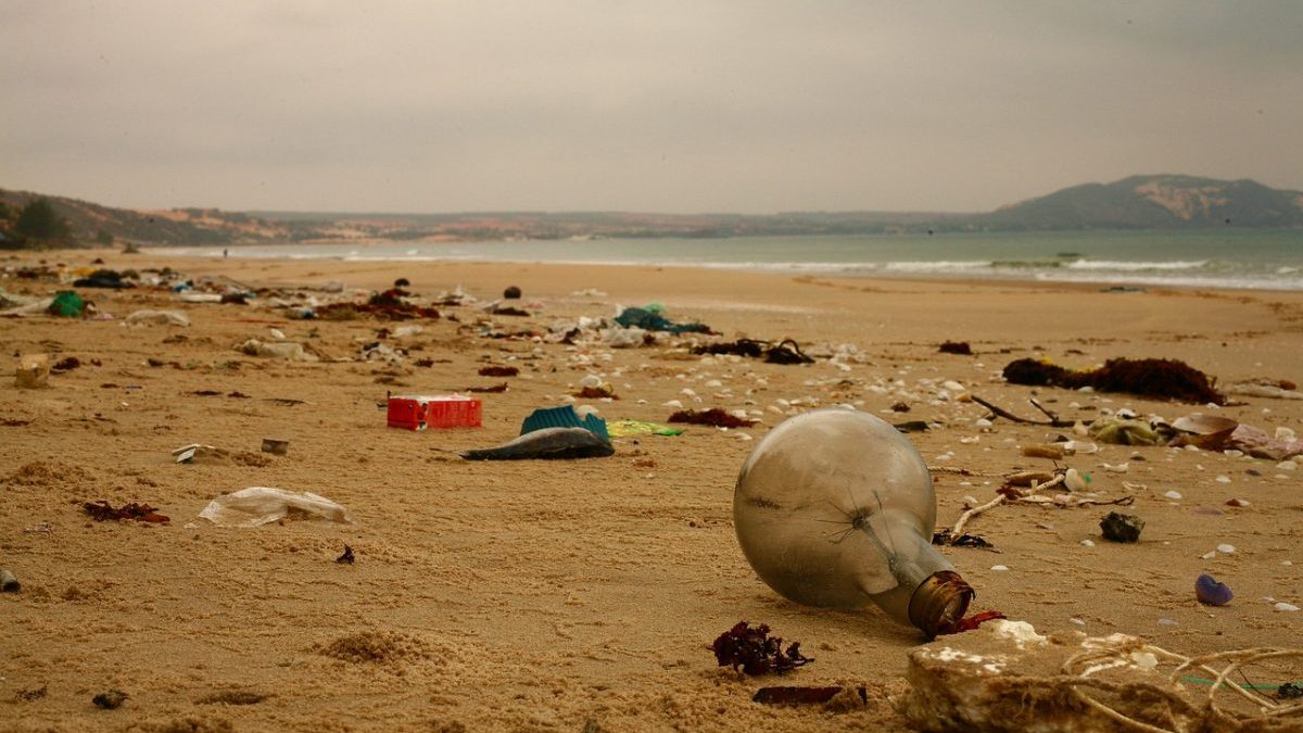 Transizione ecologica: report Ispra, dove va l’ambiente italiano?