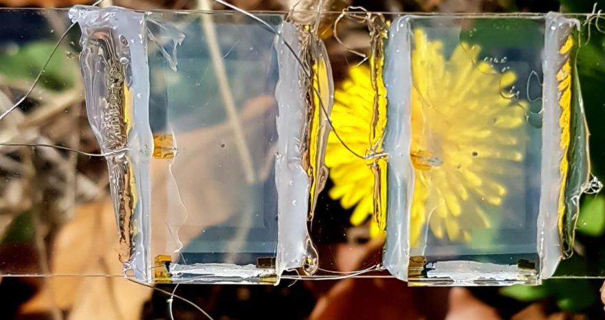 Rinnovabili • Celle fotovoltaiche trasparenti