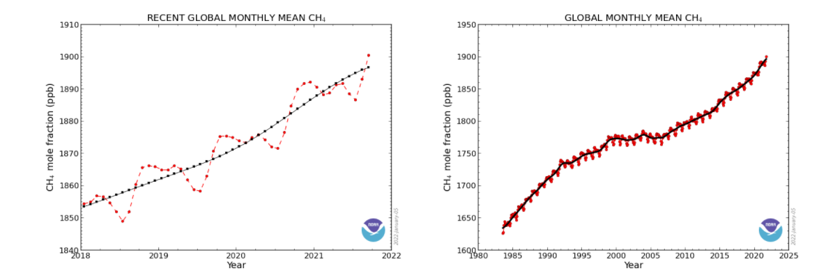 Metano in atmosfera: verso un nuovo record nel 2021